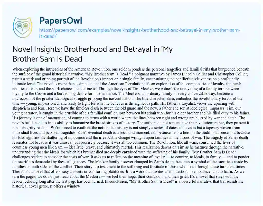Essay on Novel Insights: Brotherhood and Betrayal in ‘My Brother Sam is Dead