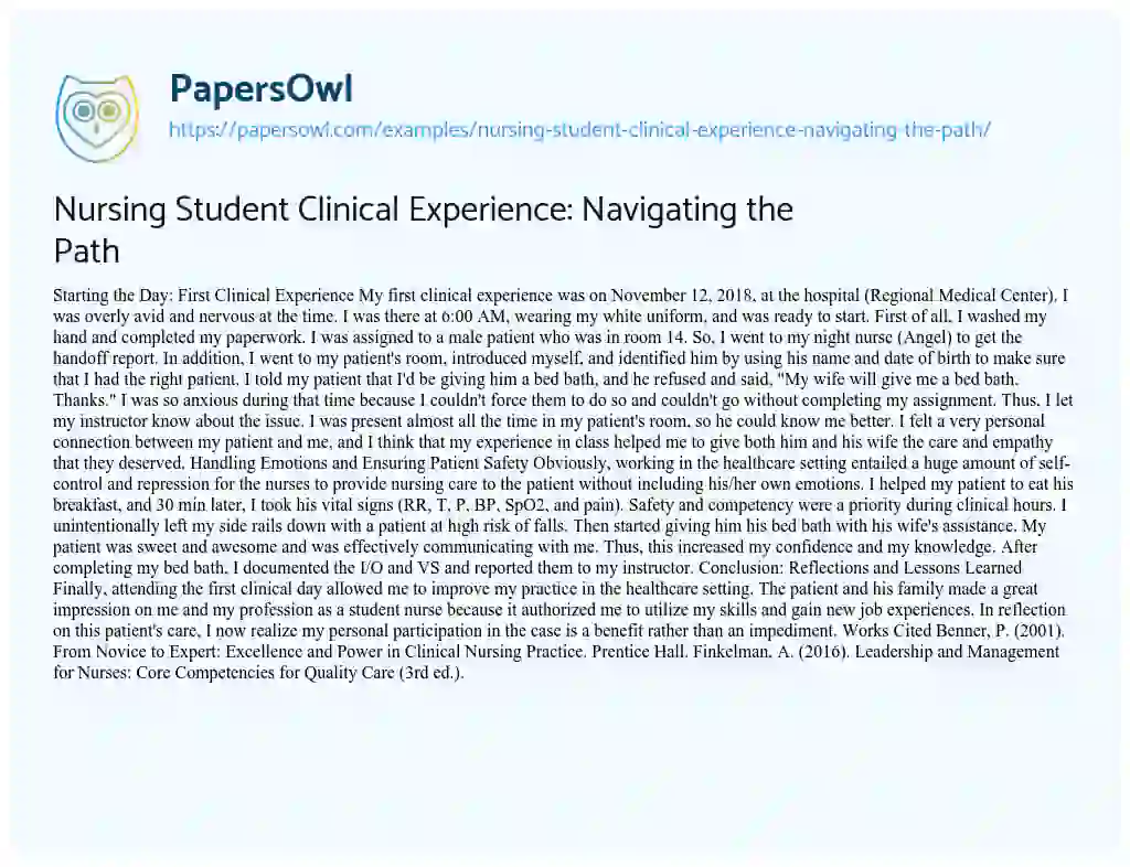 Essay on Nursing Student Clinical Experience: Navigating the Path