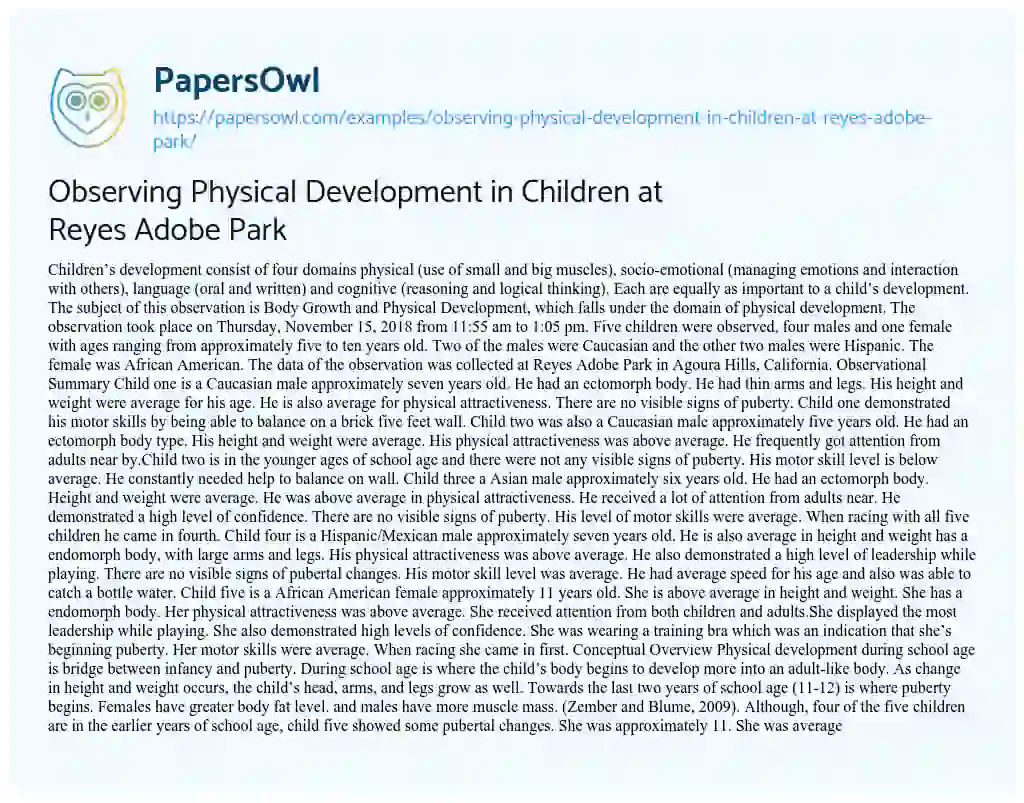 Essay on Observing Physical Development in Children at Reyes Adobe Park