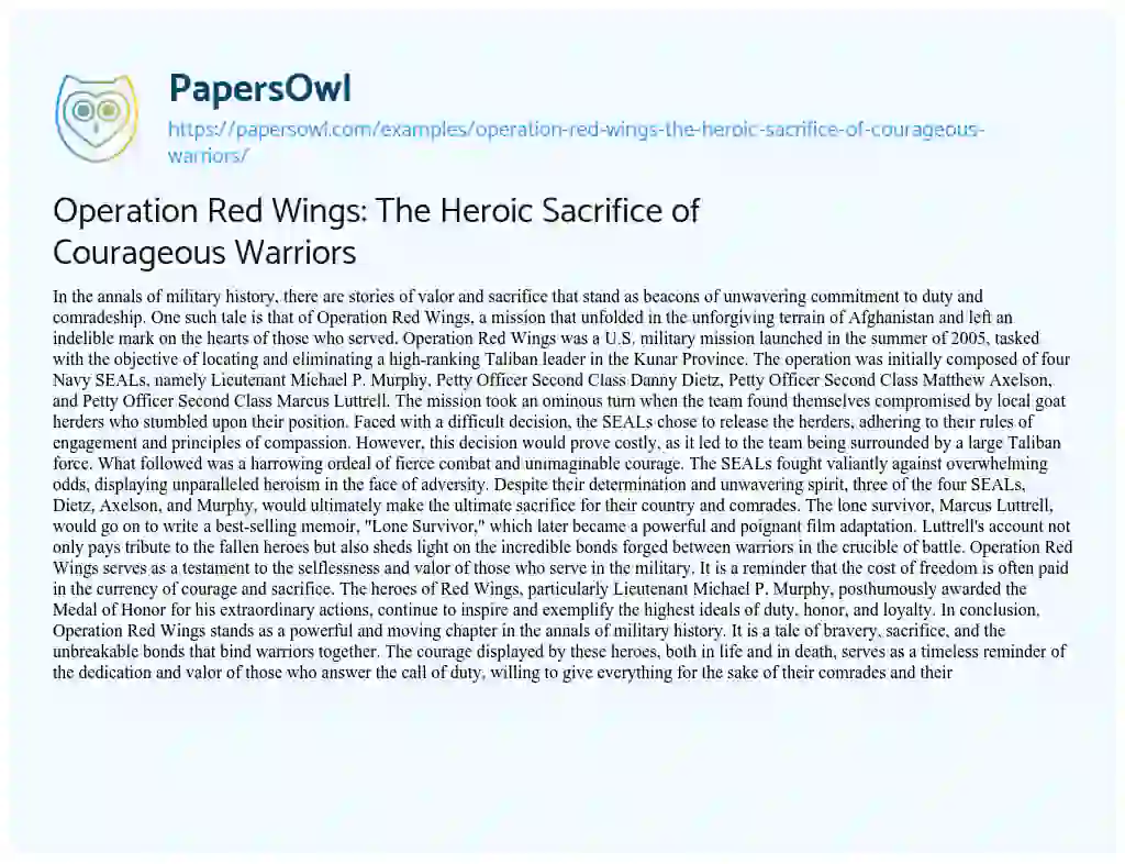 Essay on Operation Red Wings: the Heroic Sacrifice of Courageous Warriors