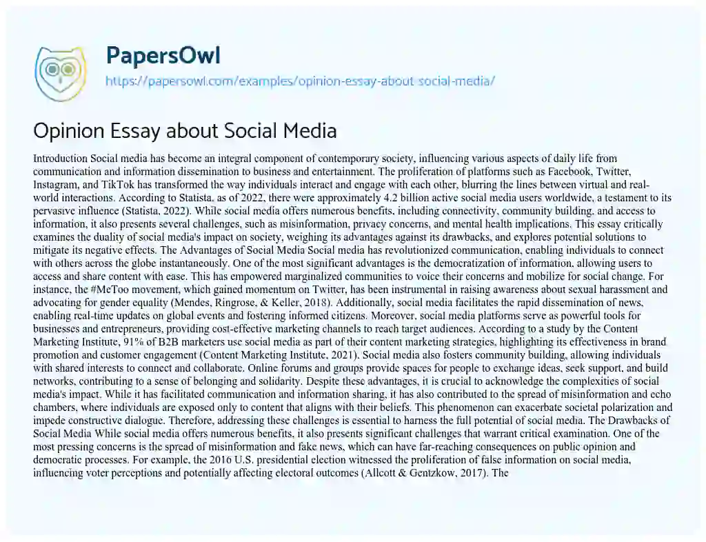 Essay on Opinion Essay about Social Media