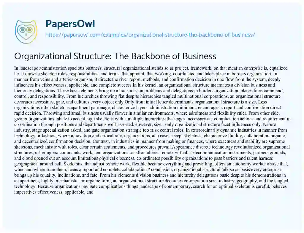 Essay on Organizational Structure: the Backbone of Business