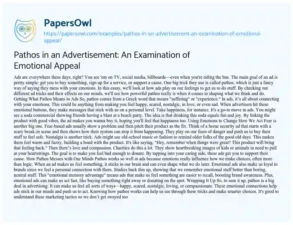 Essay on Pathos in an Advertisement: an Examination of Emotional Appeal