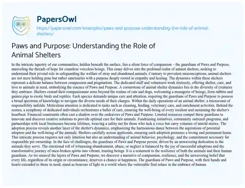 Essay on Paws and Purpose: Understanding the Role of Animal Shelters