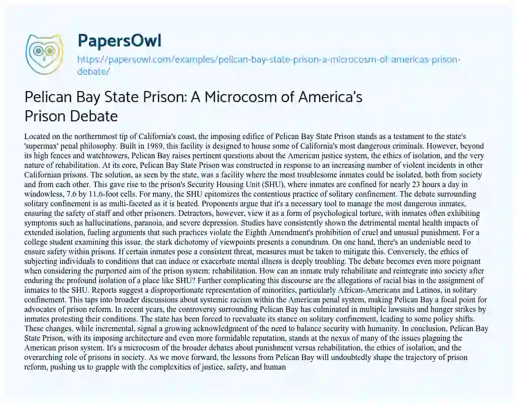 Essay on Pelican Bay State Prison: a Microcosm of America’s Prison Debate