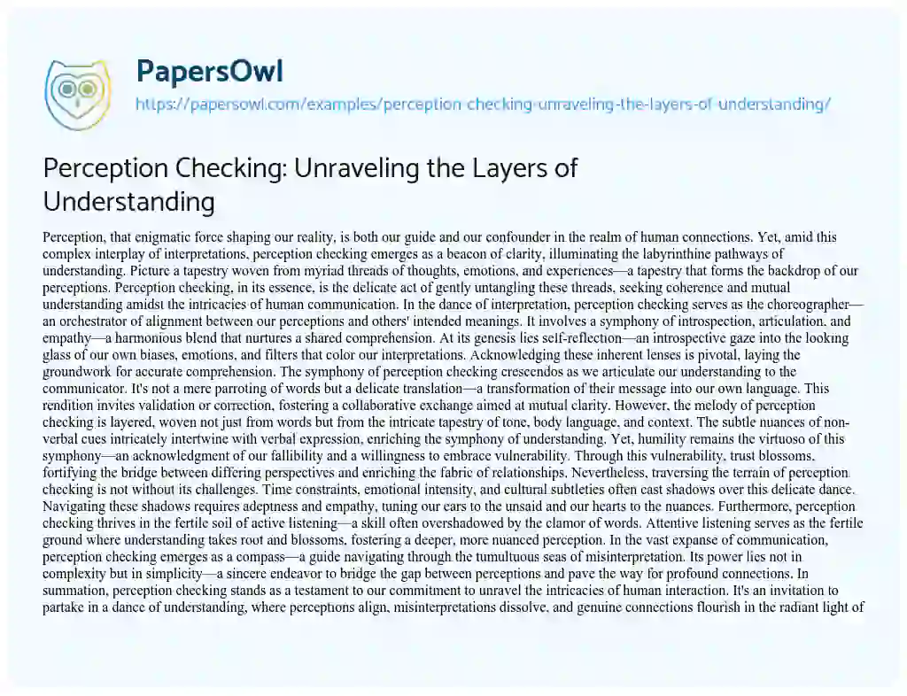 Essay on Perception Checking: Unraveling the Layers of Understanding