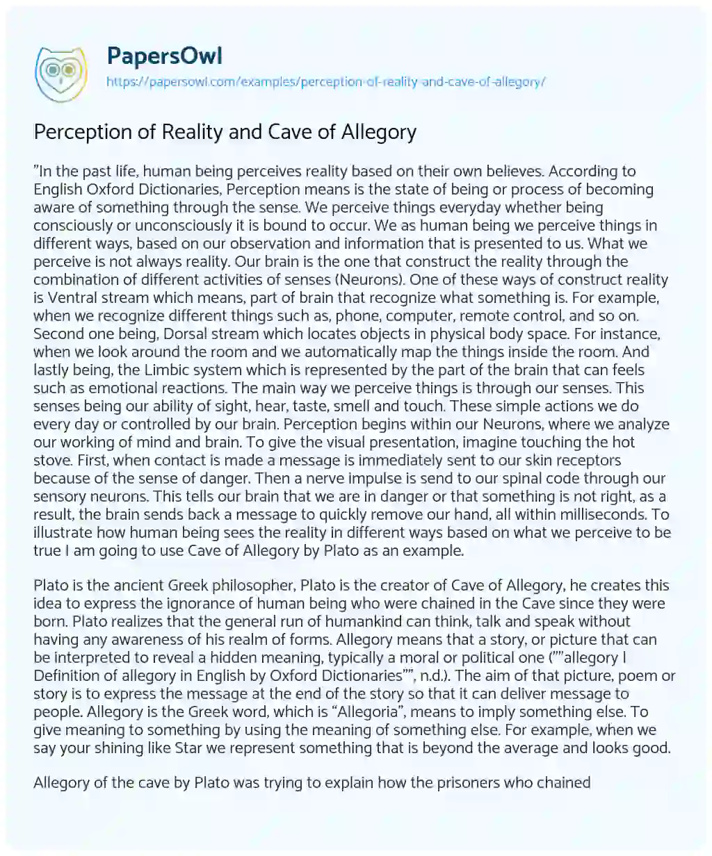 Essay on Perception of Reality and Cave of Allegory