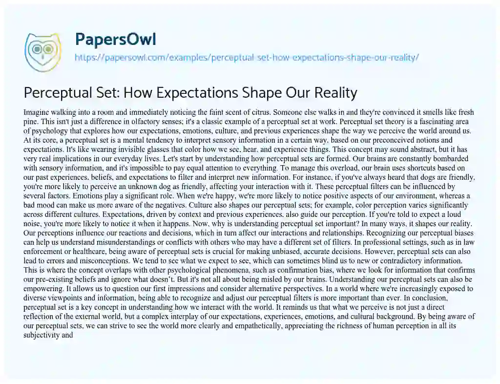 Essay on Perceptual Set: how Expectations Shape our Reality