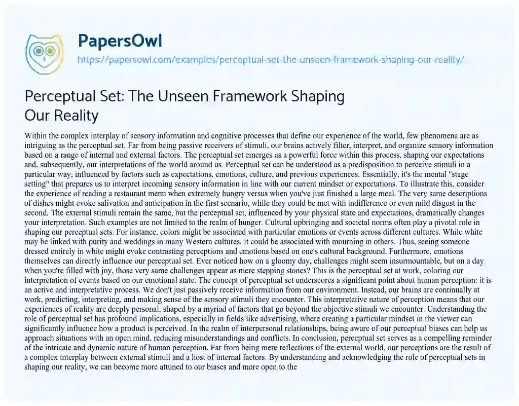 Essay on Perceptual Set: the Unseen Framework Shaping our Reality