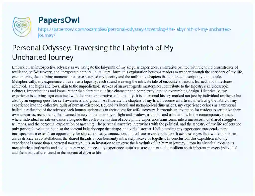 Essay on Personal Odyssey: Traversing the Labyrinth of my Uncharted Journey