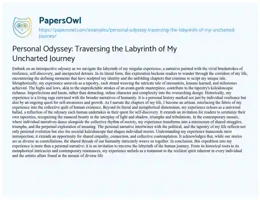 personal odyssey essay example