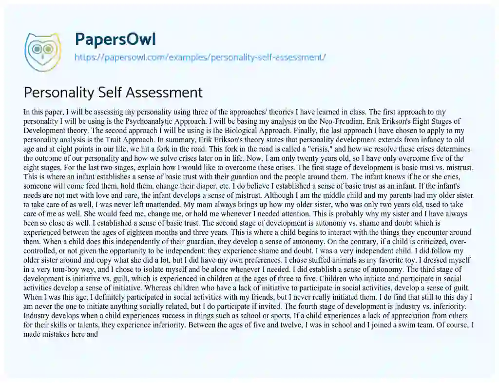 Essay on Personality Self Assessment