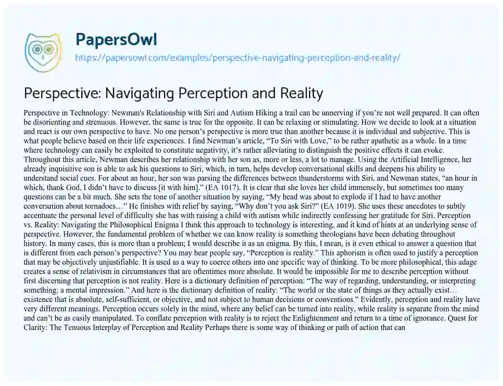 Essay on Perspective: Navigating Perception and Reality