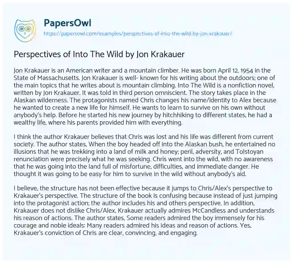 Essay on Perspectives of into the Wild by Jon Krakauer