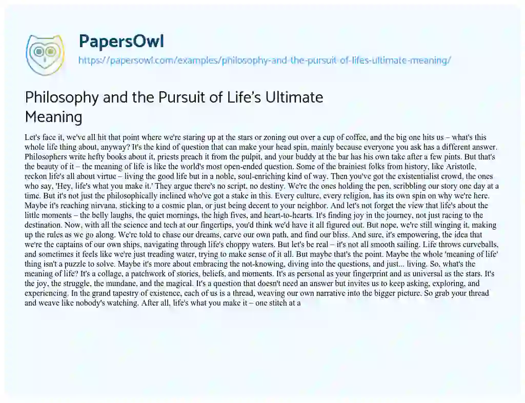 Essay on Philosophy and the Pursuit of Life’s Ultimate Meaning