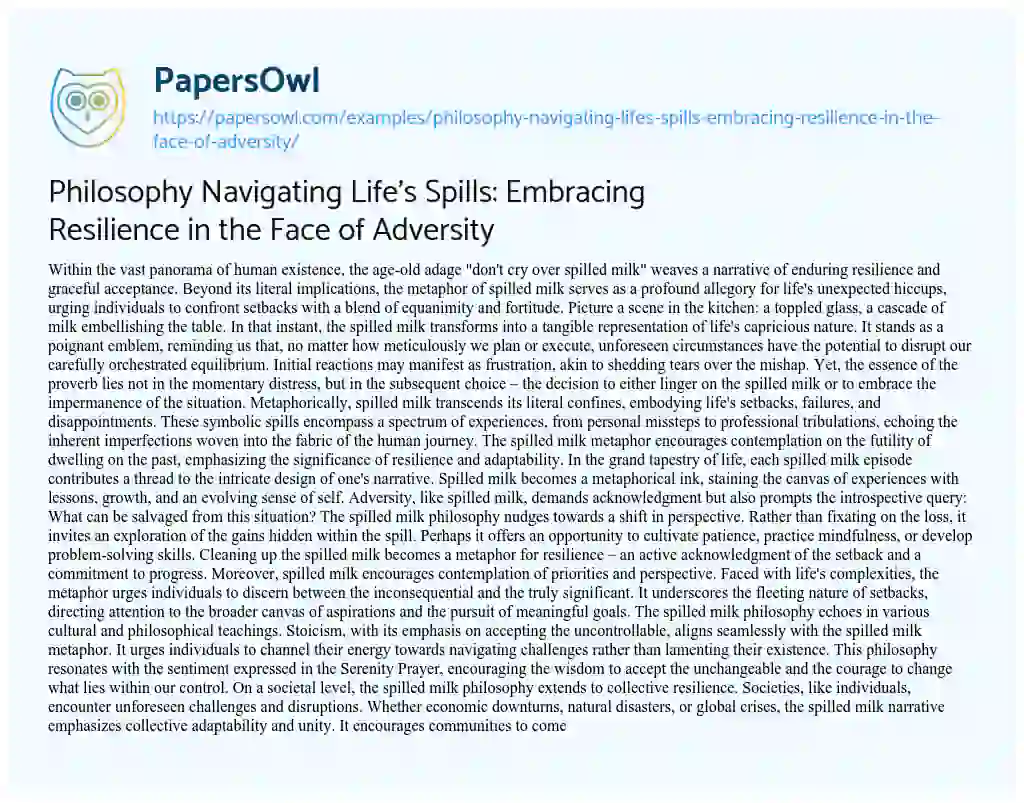 Essay on Philosophy Navigating Life’s Spills: Embracing Resilience in the Face of Adversity