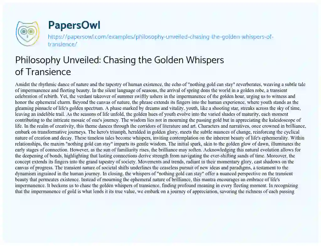 Essay on Philosophy Unveiled: Chasing the Golden Whispers of Transience