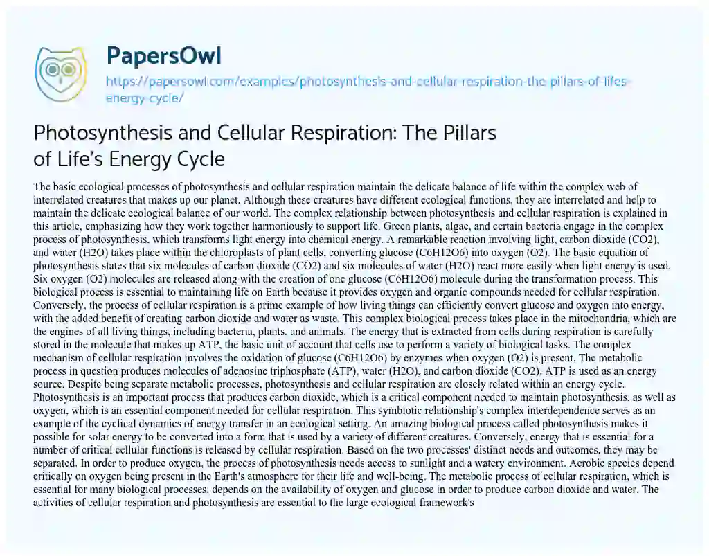 Essay on Photosynthesis and Cellular Respiration: the Pillars of Life’s Energy Cycle