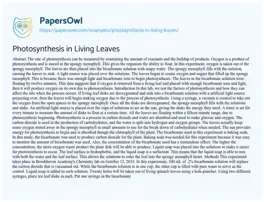 Essay on Photosynthesis in Living Leaves
