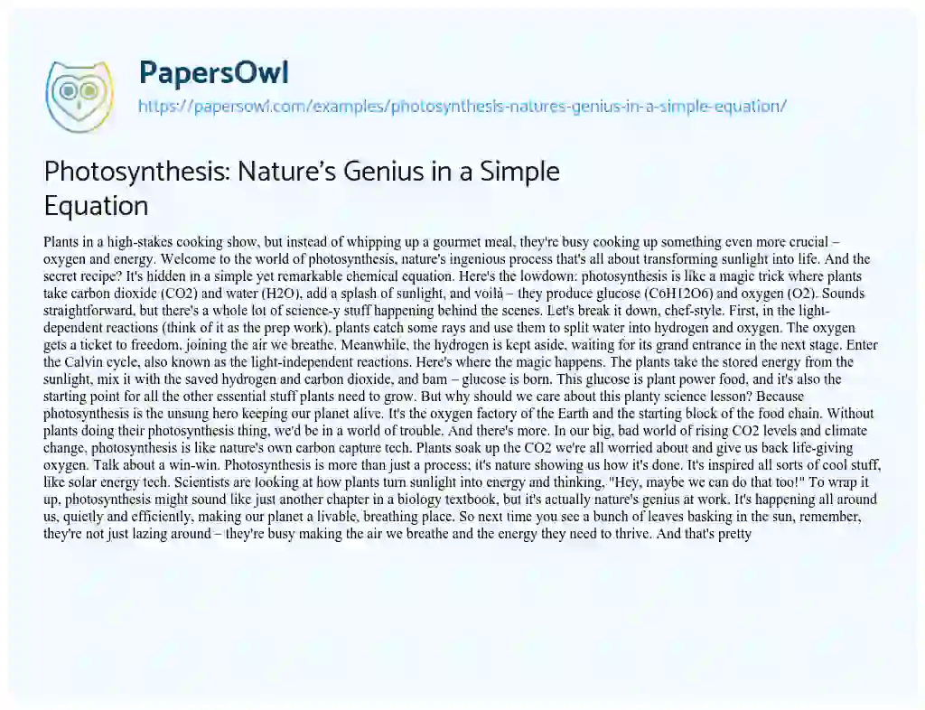 Essay on Photosynthesis: Nature’s Genius in a Simple Equation