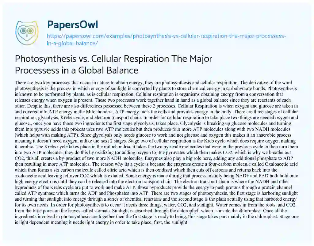 Photosynthesis Vs. Cellular Respiration the Major Processess in a Global Balance essay