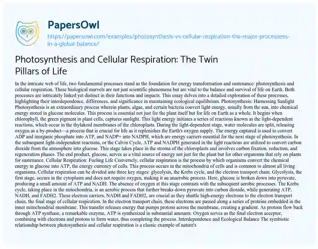 Essay on Photosynthesis Vs. Cellular Respiration the Major Processess in a Global Balance