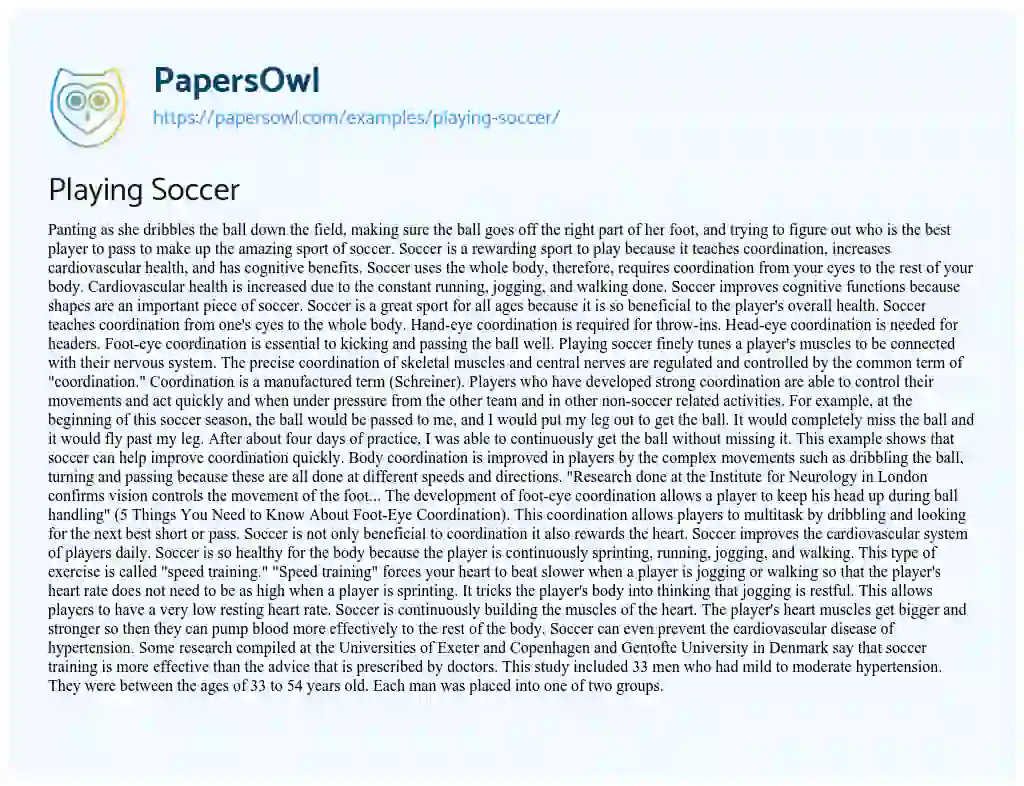 Playing Soccer essay