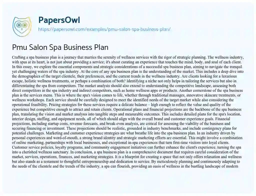 Essay on Pmu Salon Spa Business Plan