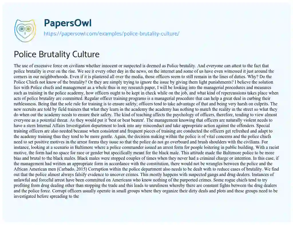 Essay on Police Brutality Culture