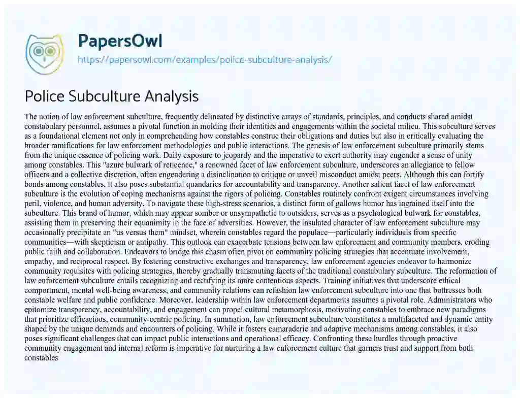 Essay on Police Subculture Analysis