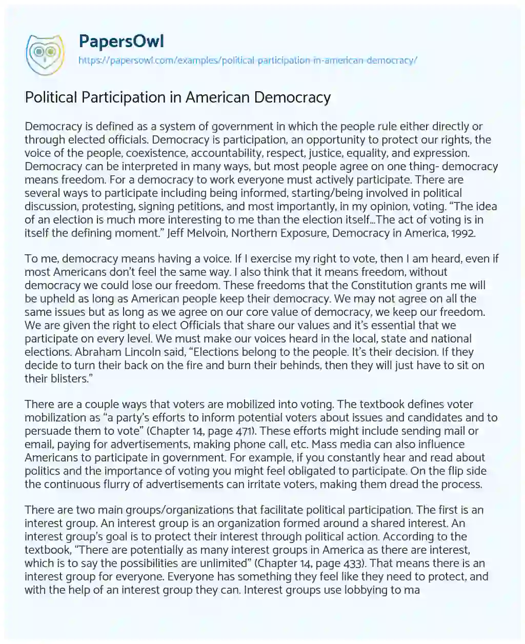 Essay on Political Participation in American Democracy