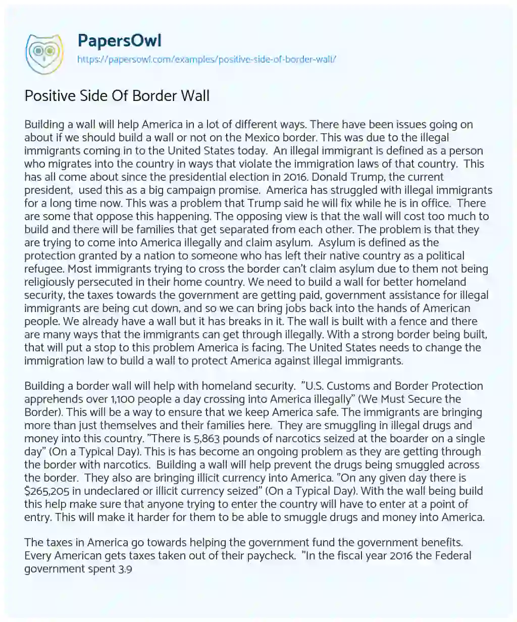 Positive Side of Border Wall essay
