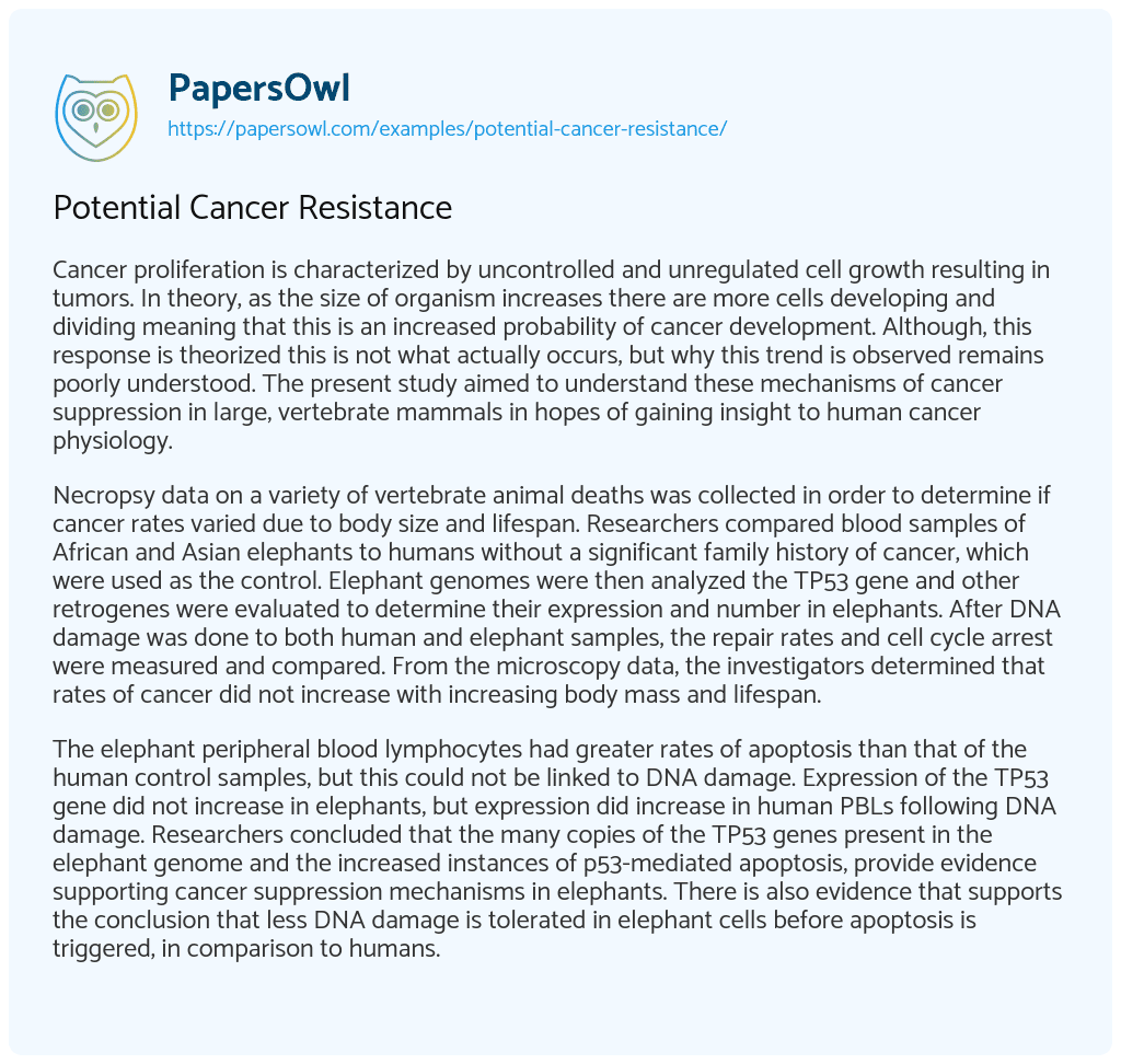 Essay on Potential Cancer Resistance