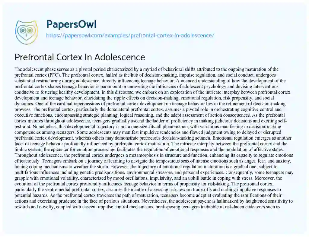 Essay on Prefrontal Cortex in Adolescence