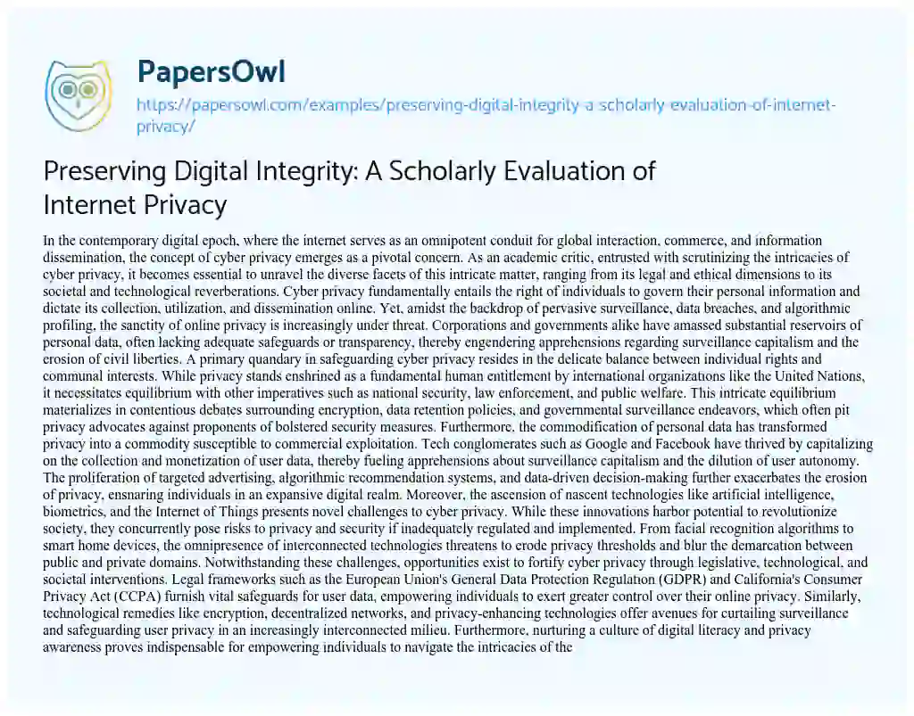 Essay on Preserving Digital Integrity: a Scholarly Evaluation of Internet Privacy