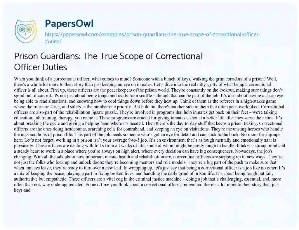 Essay on Prison Guardians: the True Scope of Correctional Officer Duties