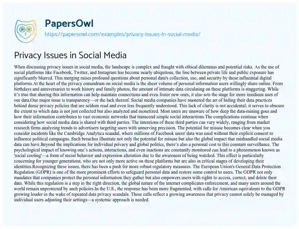 Essay on Privacy Issues in Social Media