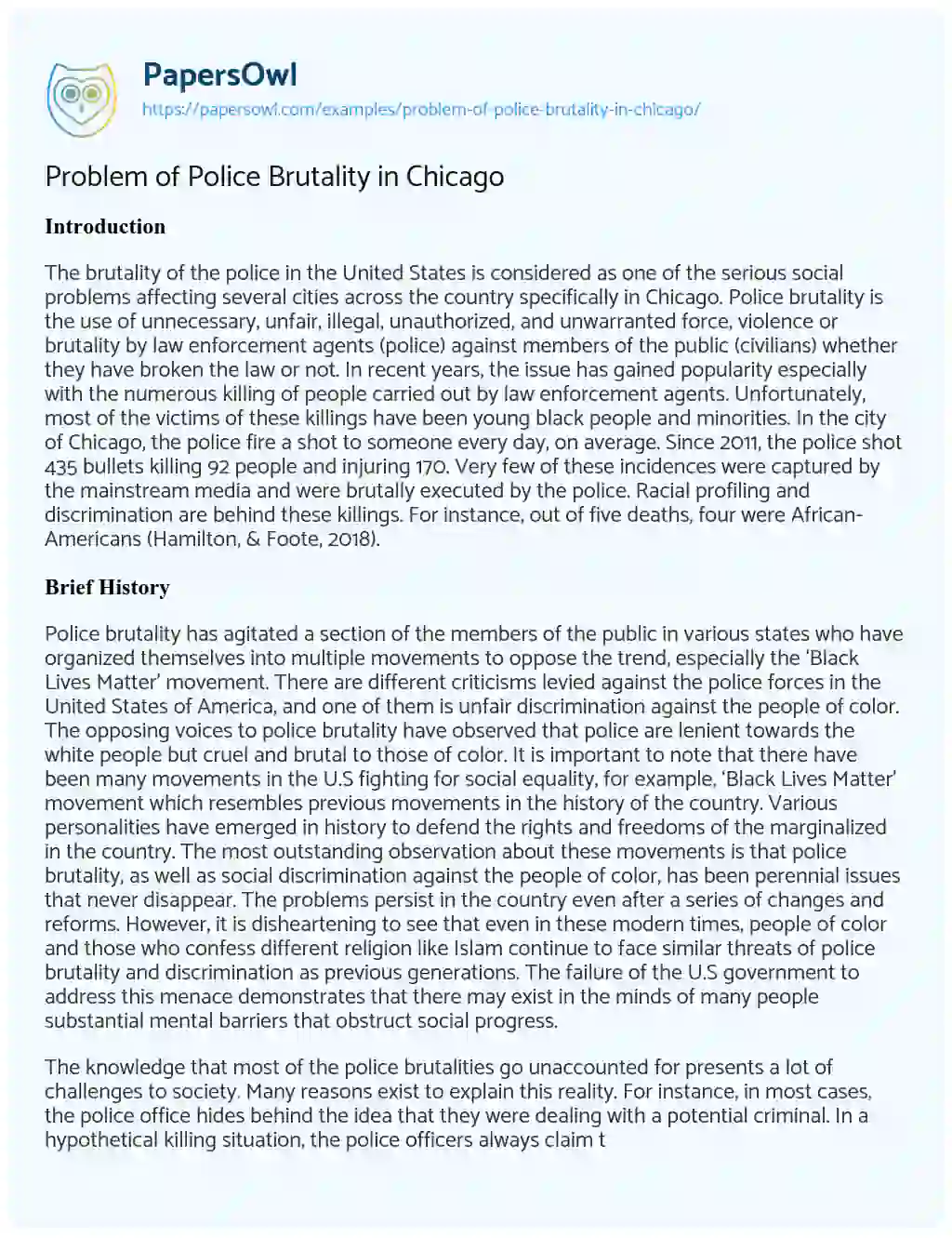 Problem of Police Brutality in Chicago essay