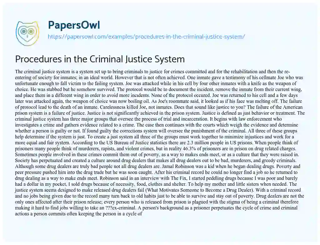 Essay on Procedures in the Criminal Justice System