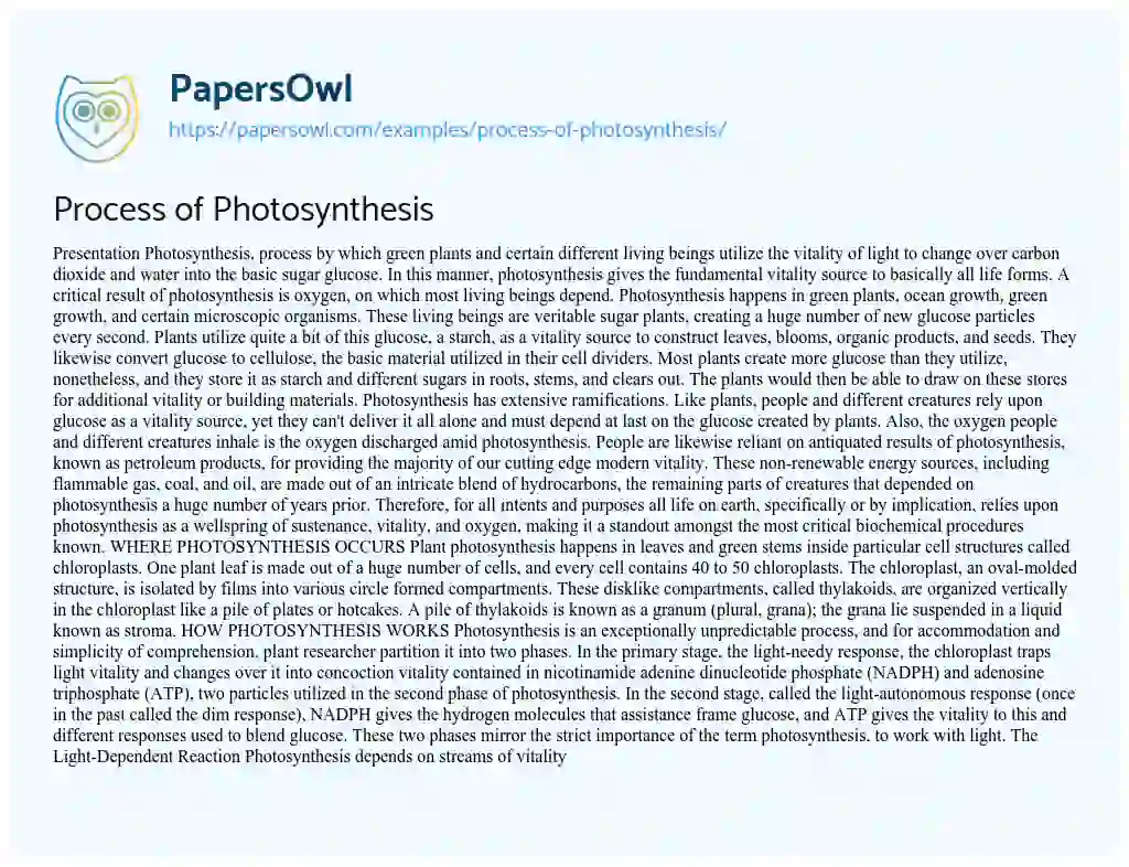 Essay on Process of Photosynthesis