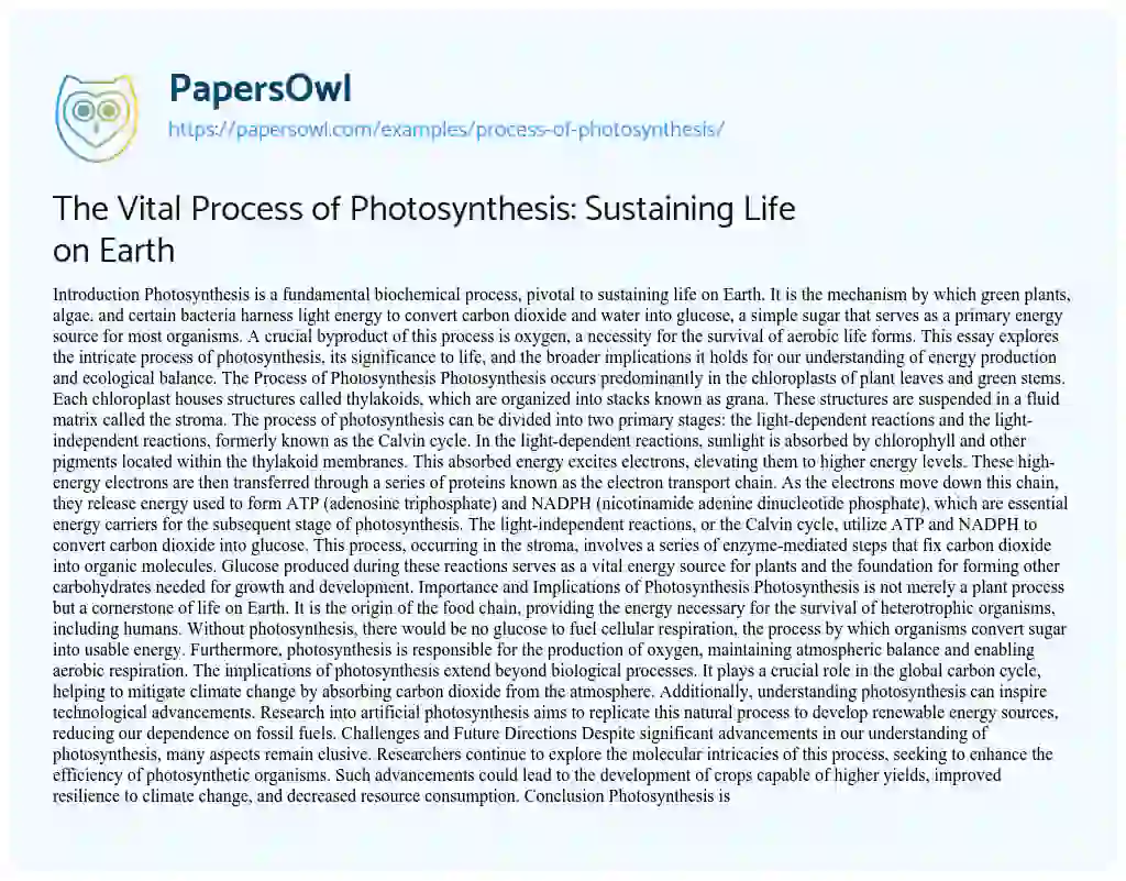 Essay on Process of Photosynthesis