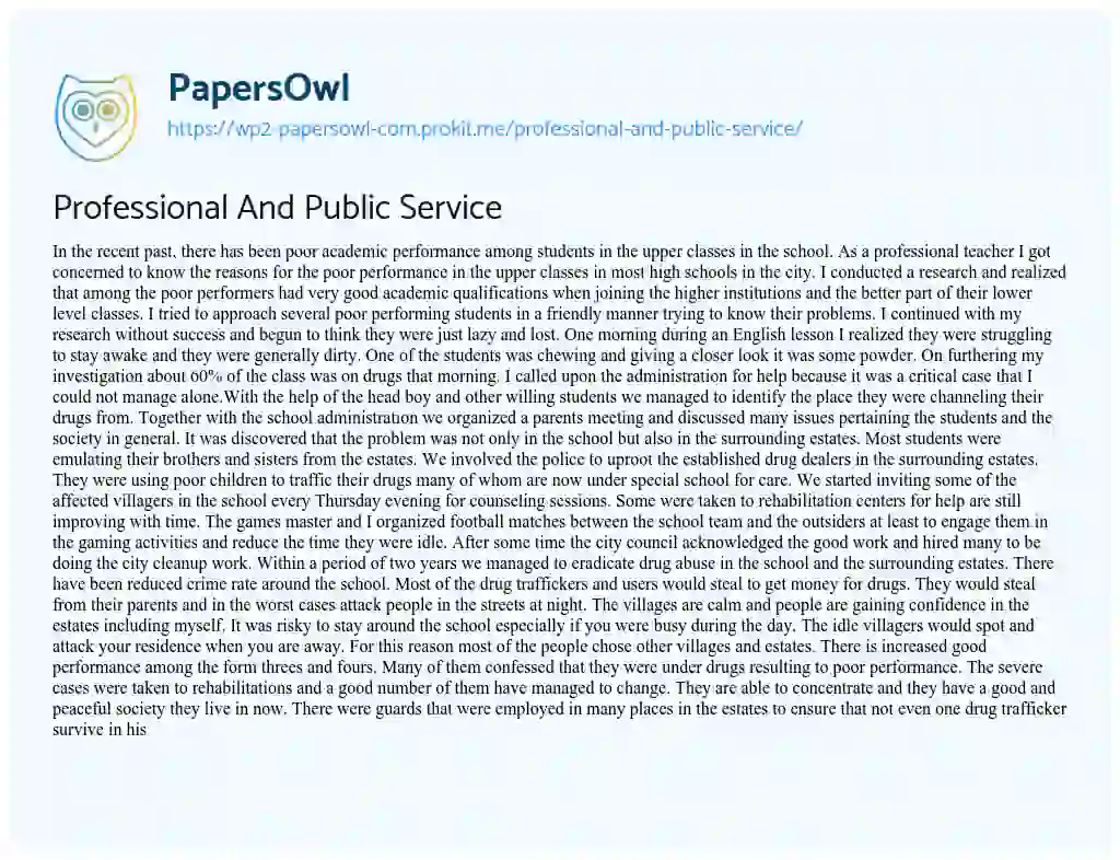 Essay on Professional and Public Service