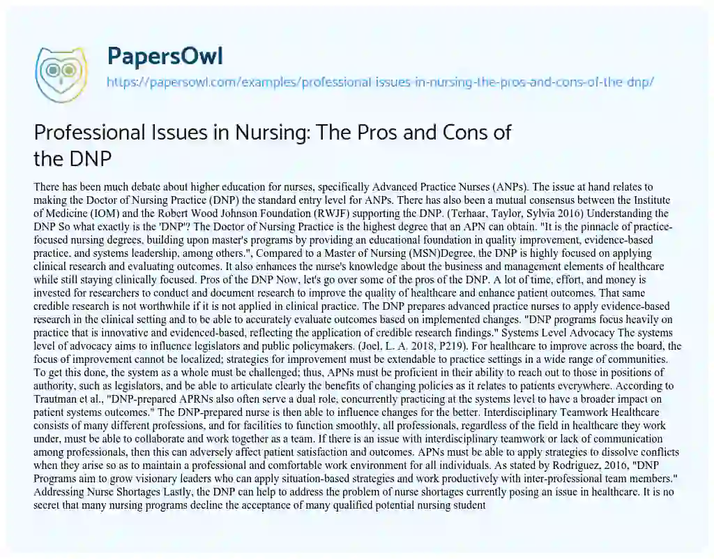 Essay on Professional Issues in Nursing: the Pros and Cons of the DNP
