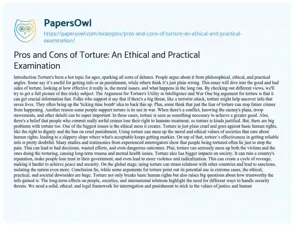 Essay on Pros and Cons of Torture: an Ethical and Practical Examination