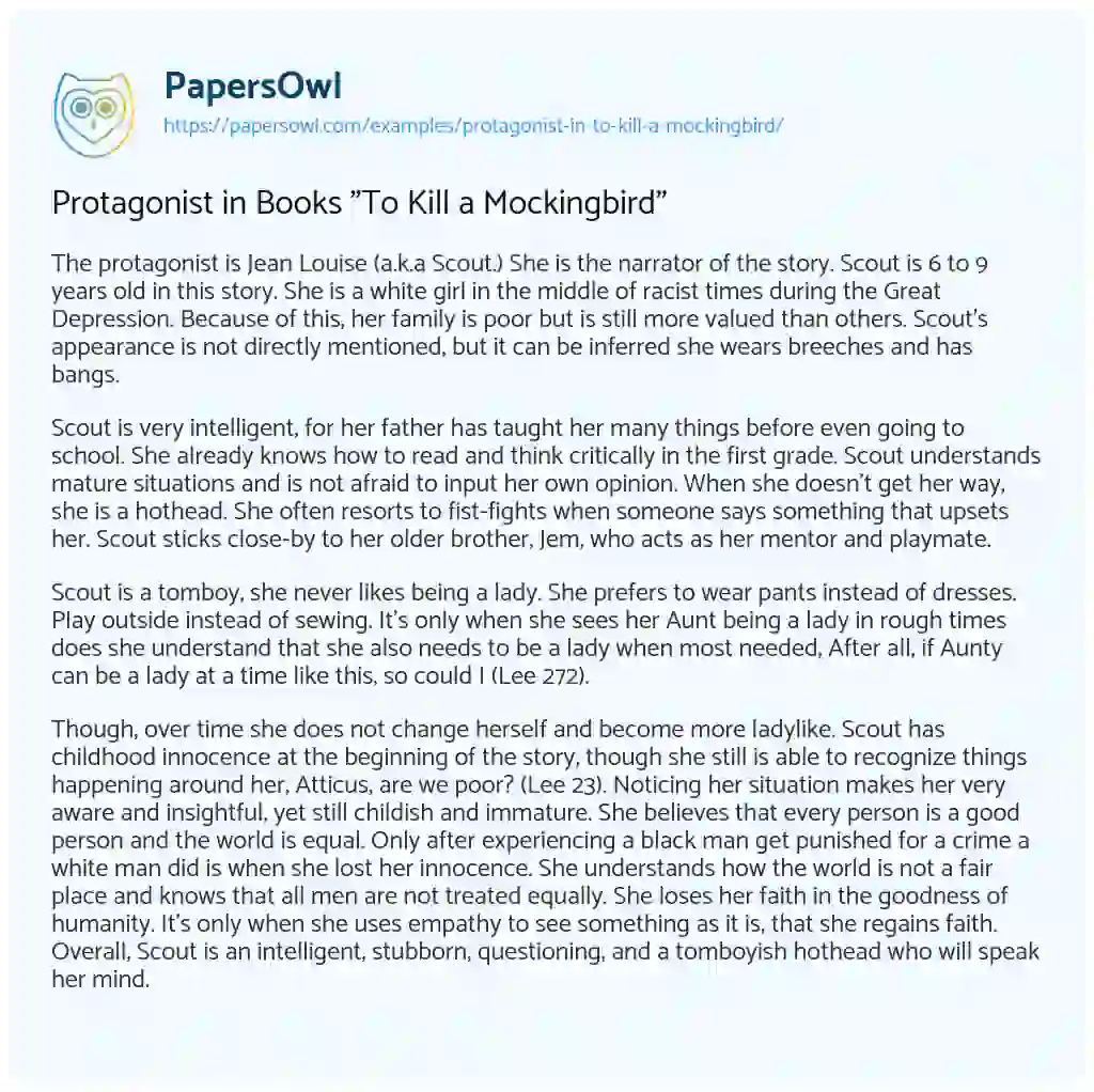 Essay on Protagonist in Books “To Kill a Mockingbird”