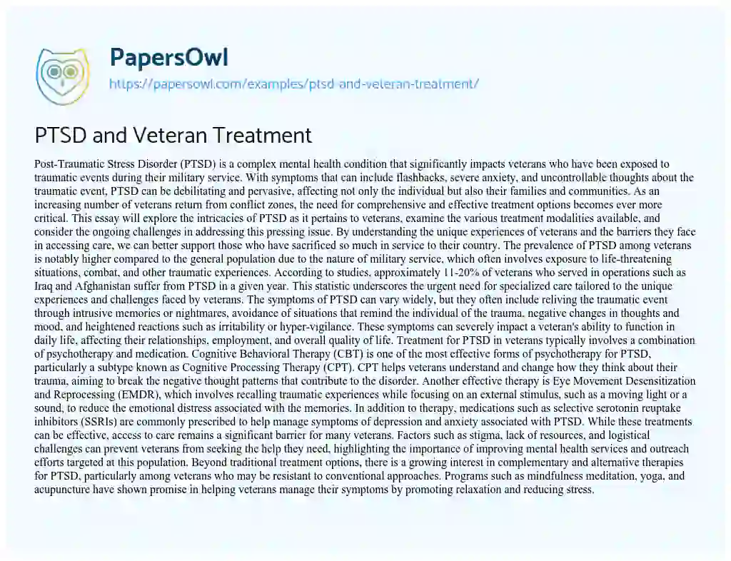 Essay on PTSD and Veteran Treatment