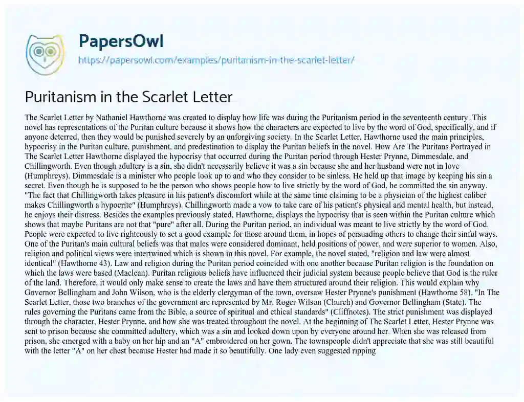 Puritanism in the Scarlet Letter essay