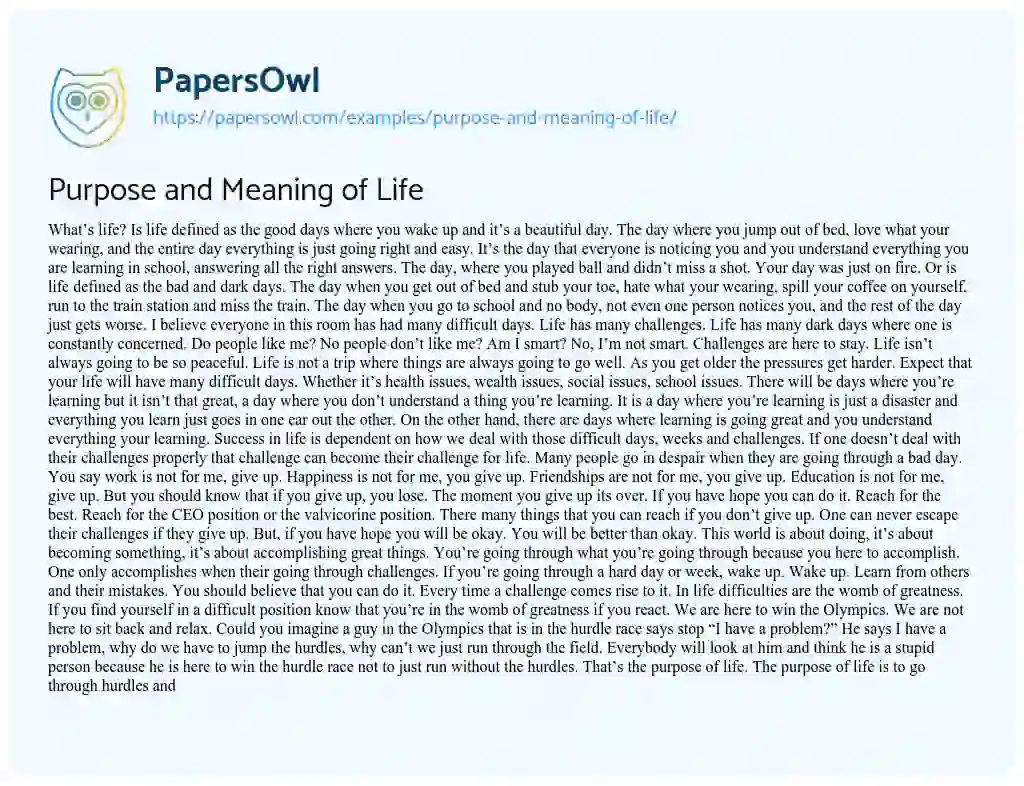 Essay on Purpose and Meaning of Life