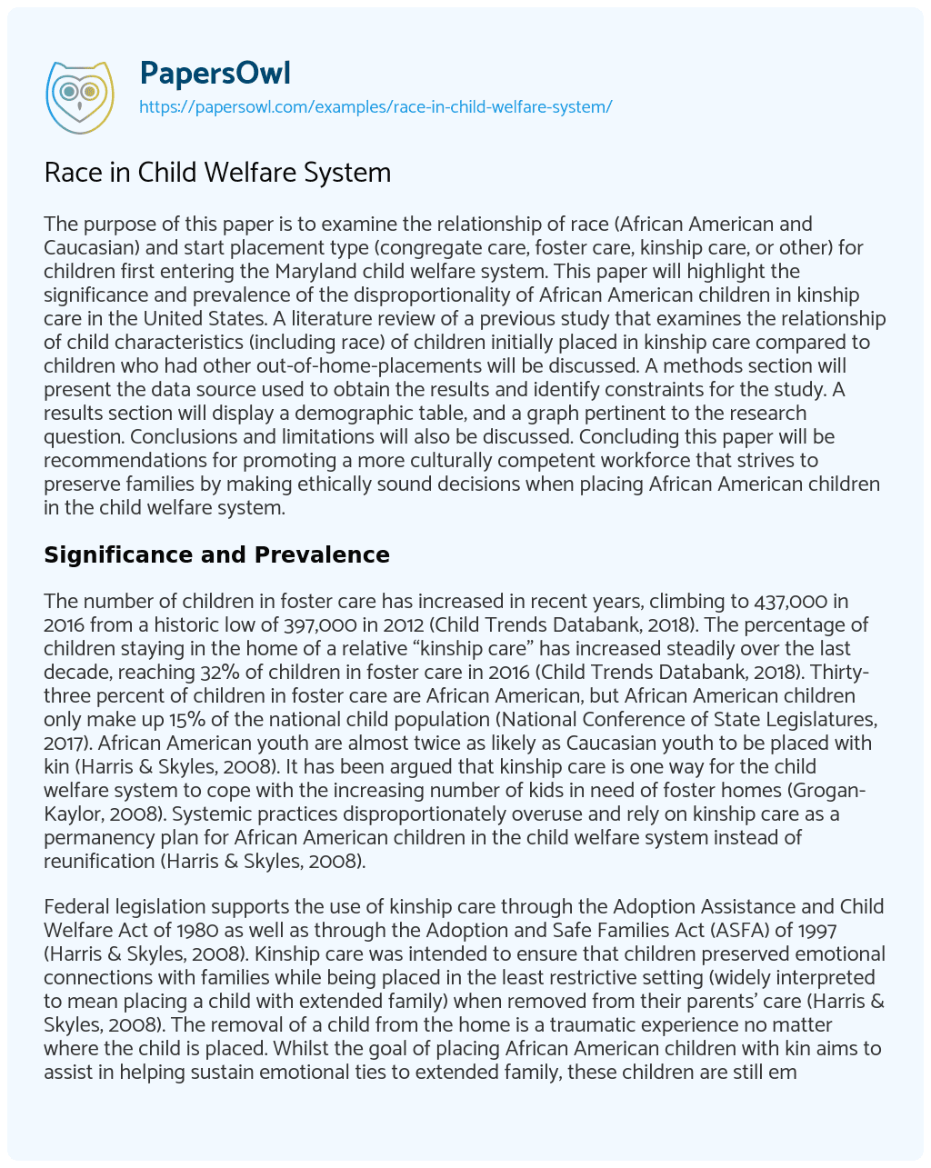 Race in Child Welfare System essay