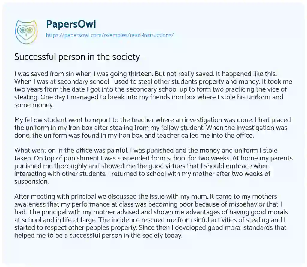 Successful Person in the Society essay